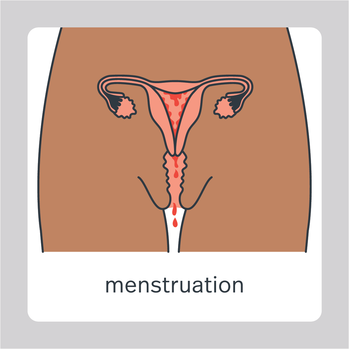 Menstruation Secca National Sexuality And Your Rights