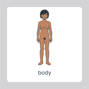 body female