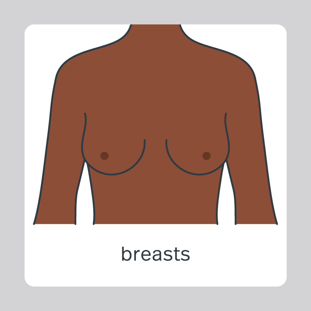 breasts