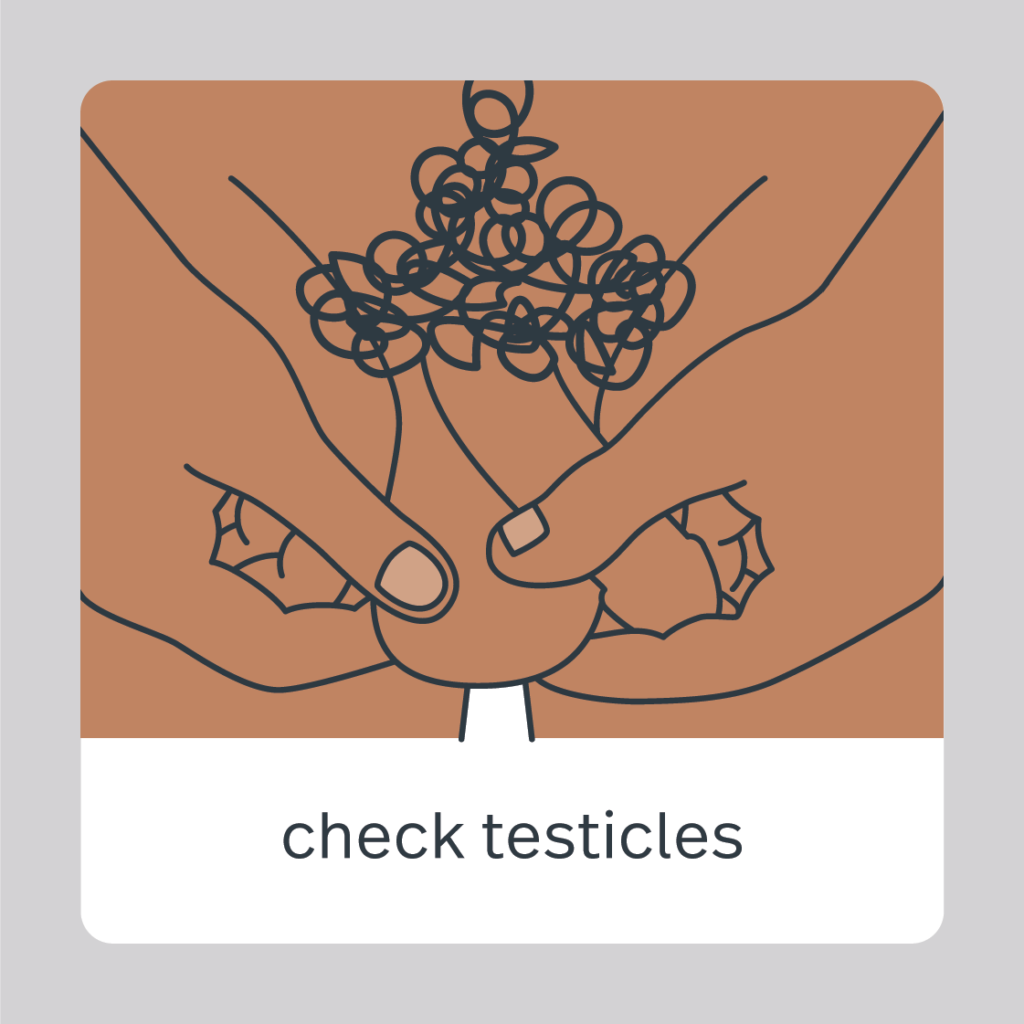 check testicles