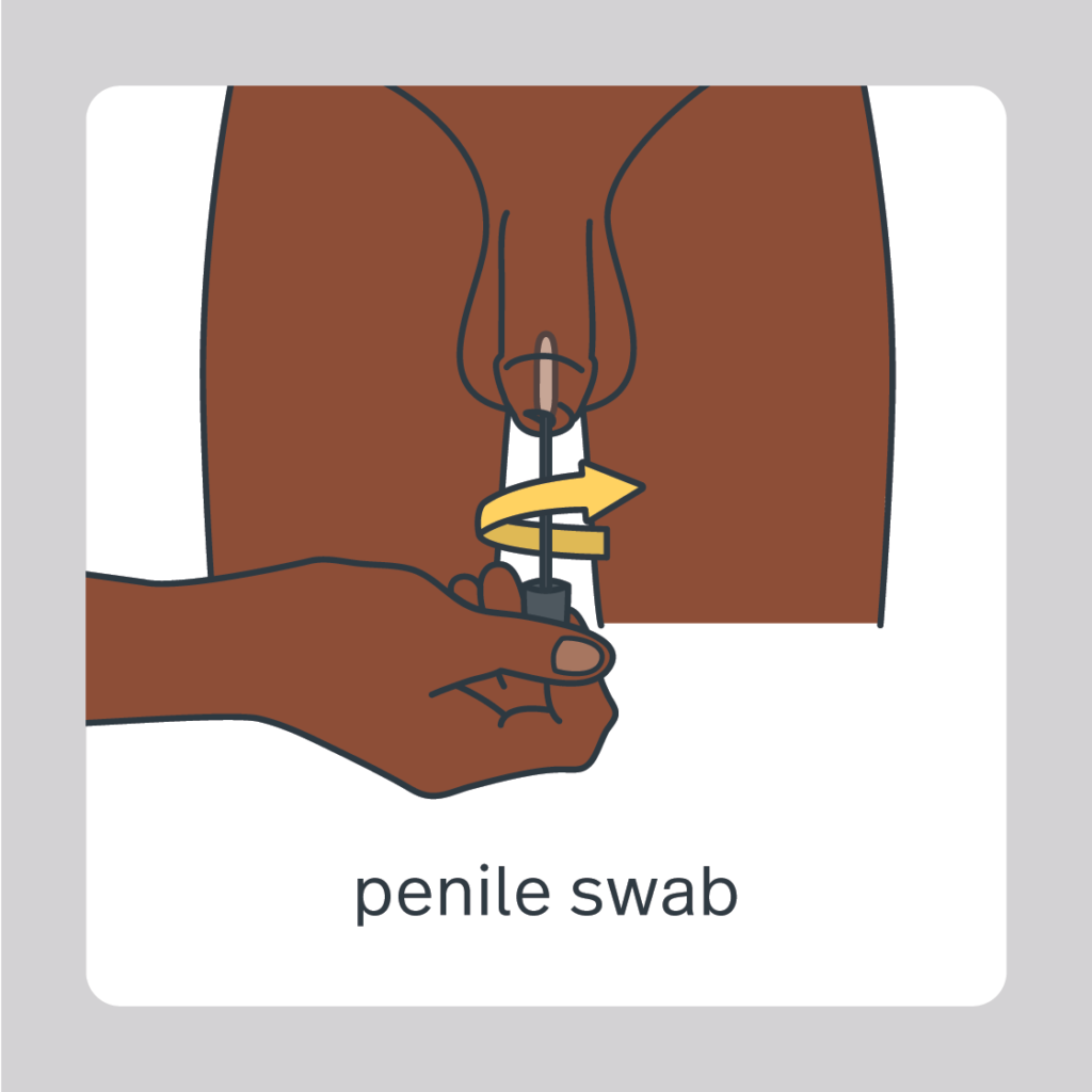 penile swab