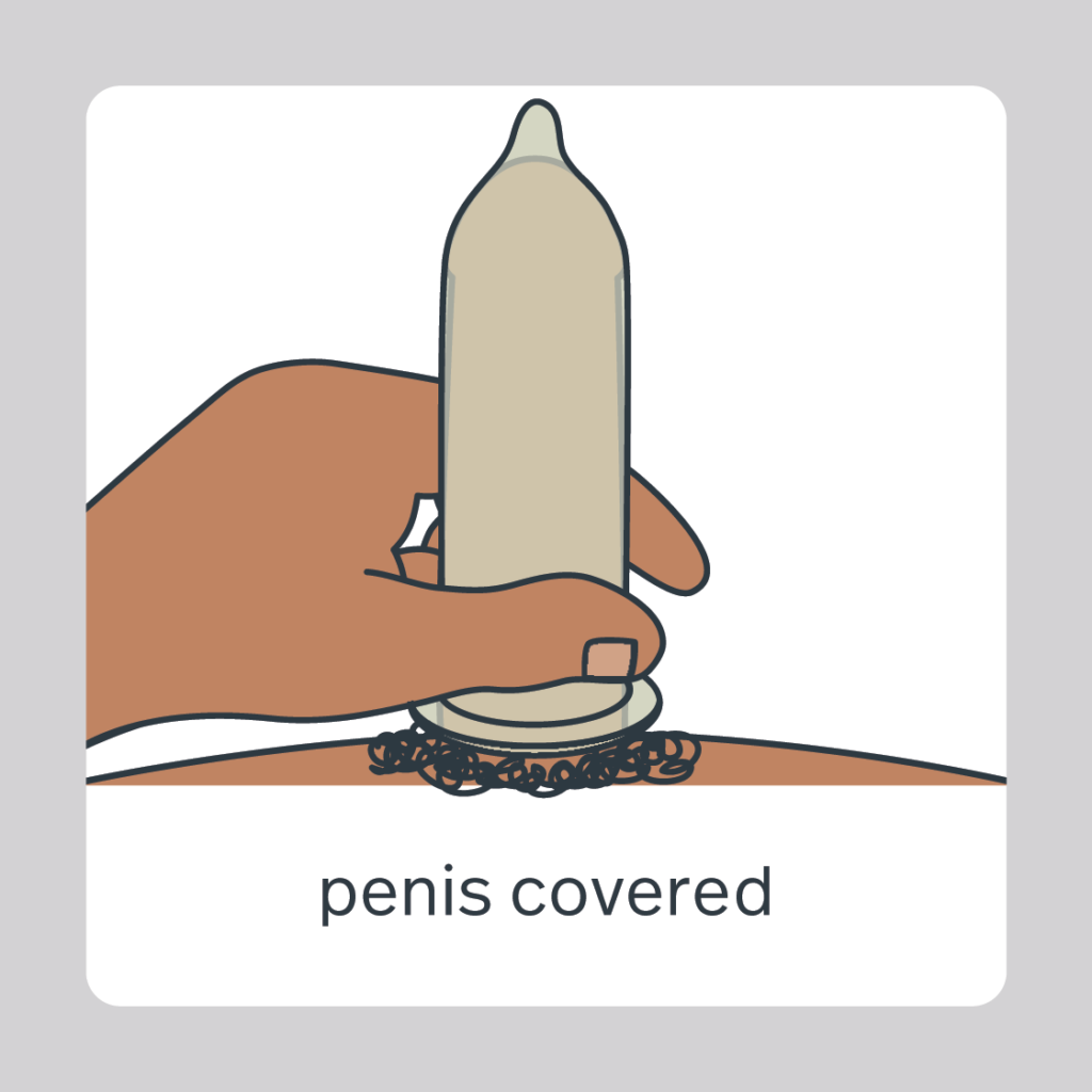 penis covered