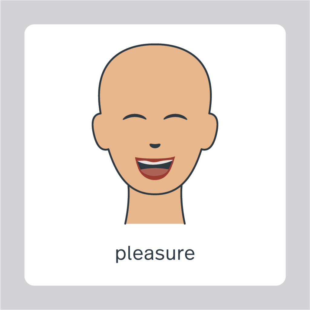 pleasure