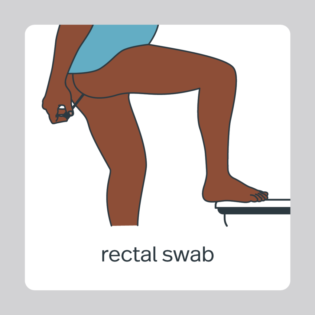 rectal swab