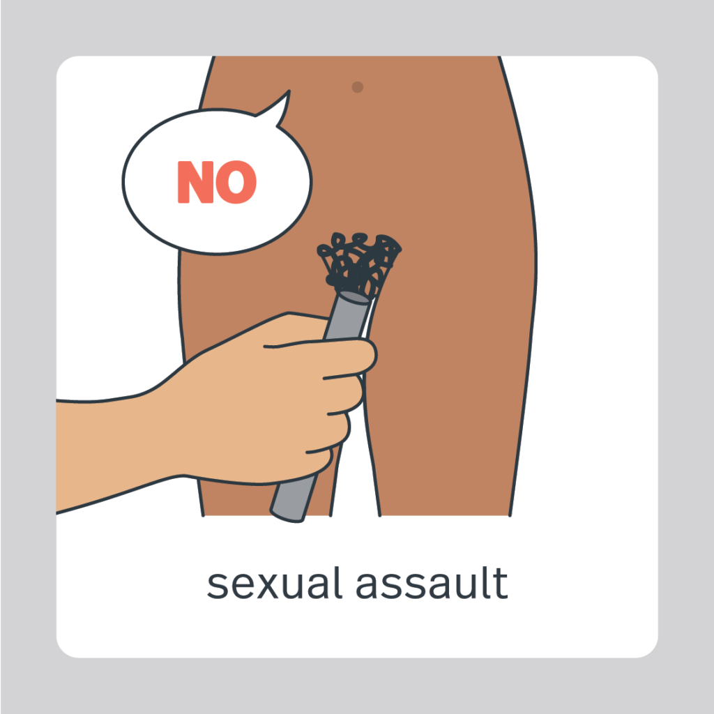sexual assault object